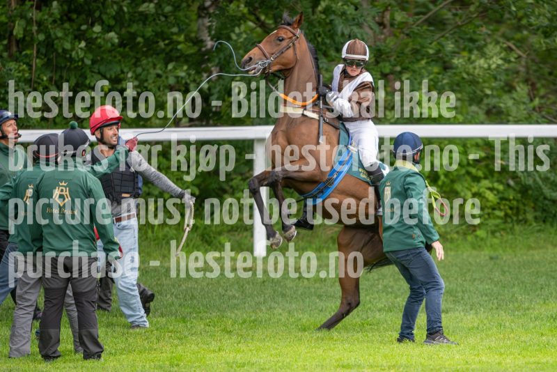 20240815-175257-DSC_3050