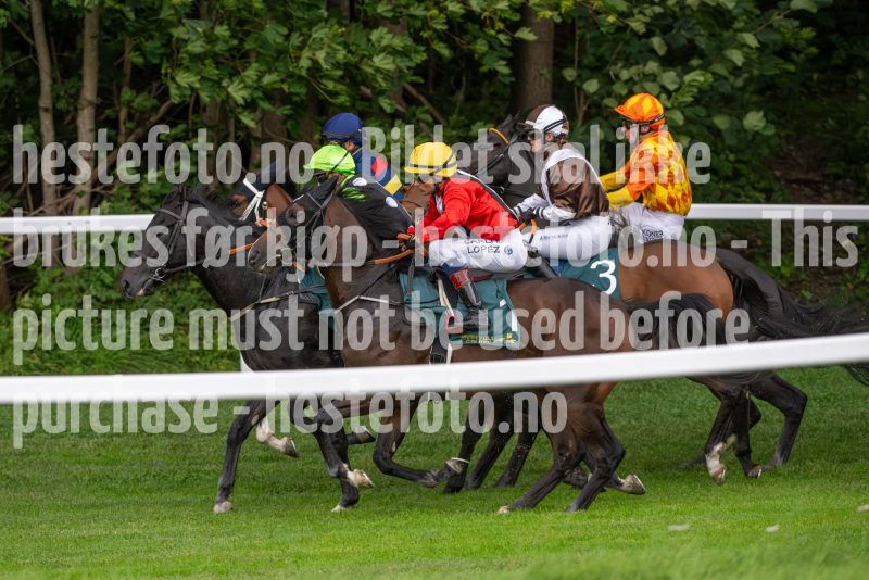 20240815-175431-DSC_3181