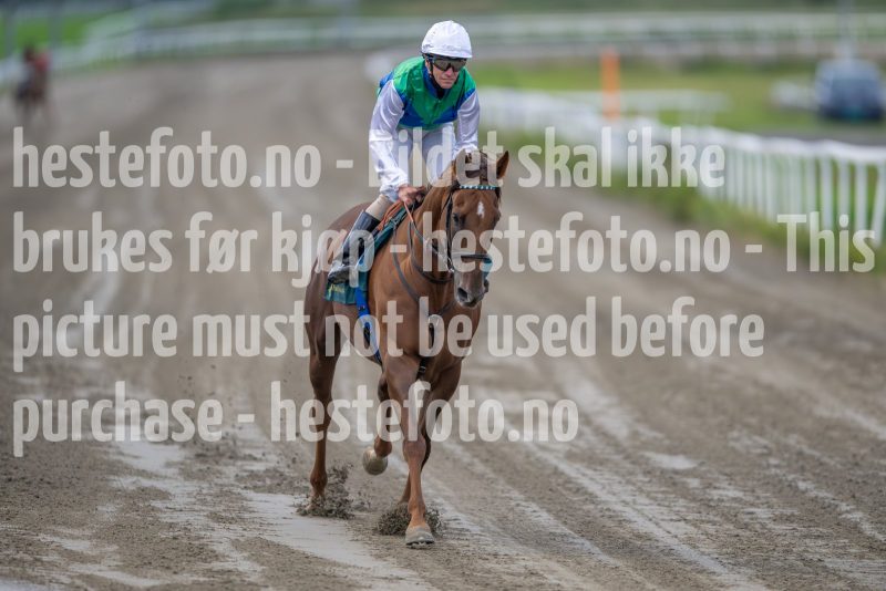 20240815-181100-DSC_3482
