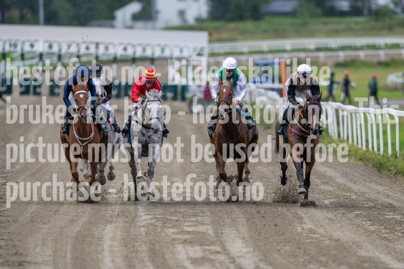 20240815-181702-DSC_3844
