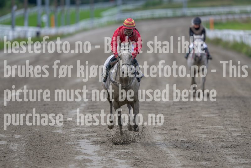 20240815-181834-DSC_4131