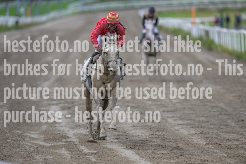 20240815-181836-DSC_4155