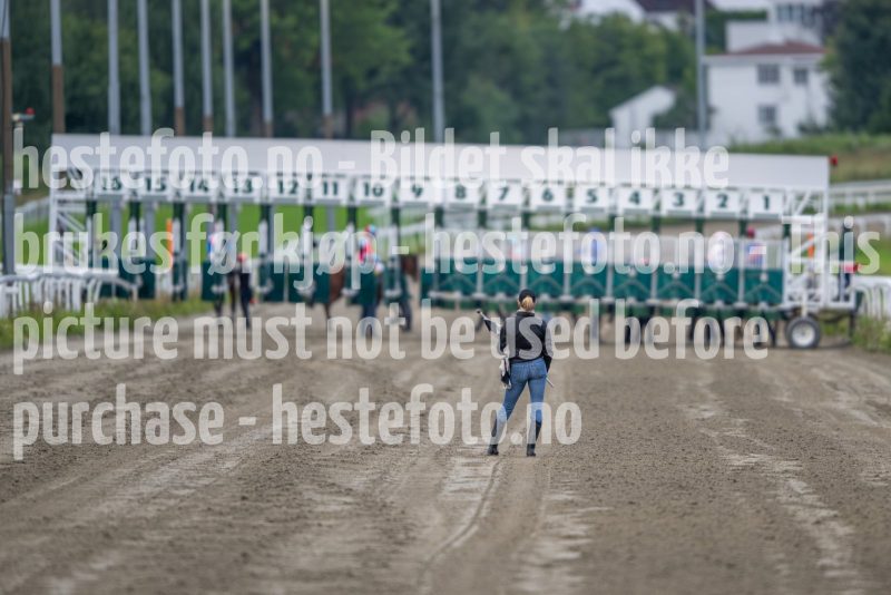 20240815-184150-DSC_4508