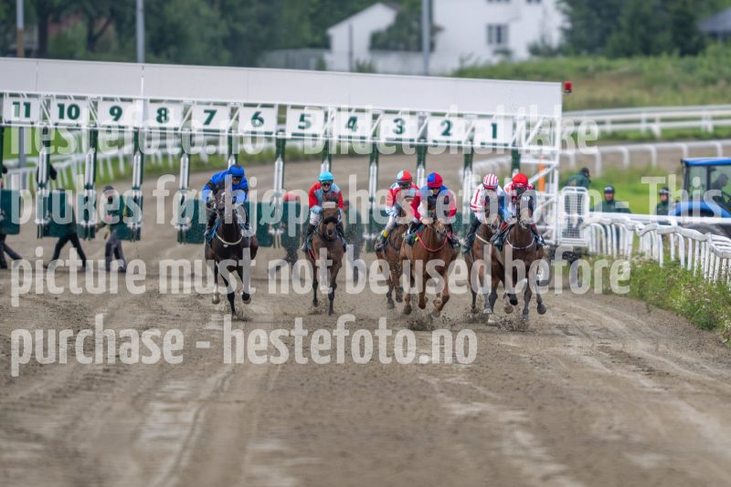 20240815-184418-DSC_4571