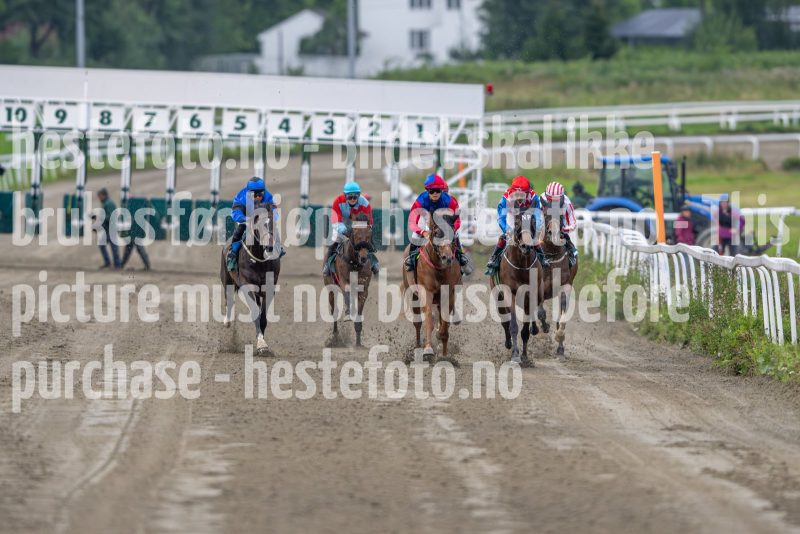 20240815-184421-DSC_4596