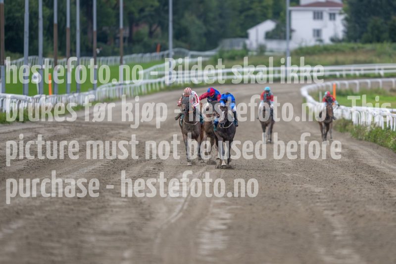 20240815-184552-DSC_4802