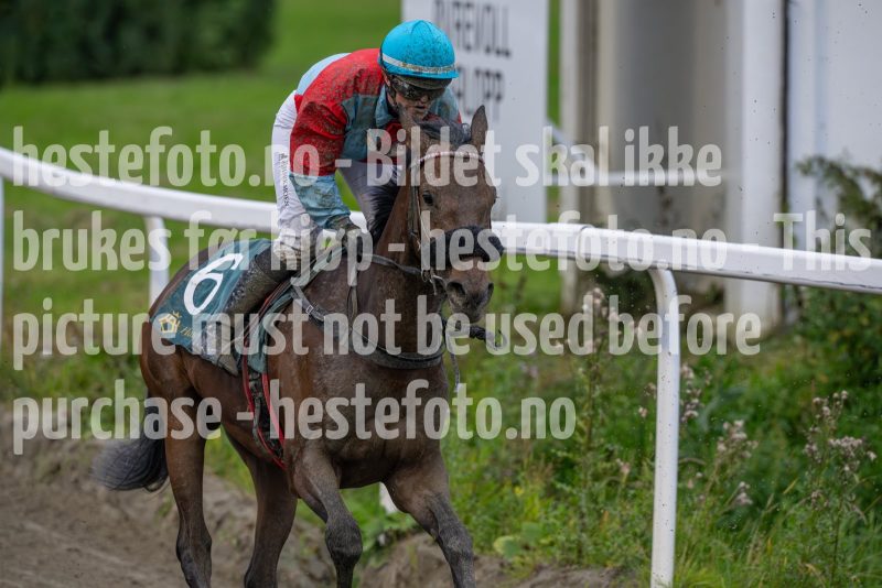 20240815-184611-DSC_5036
