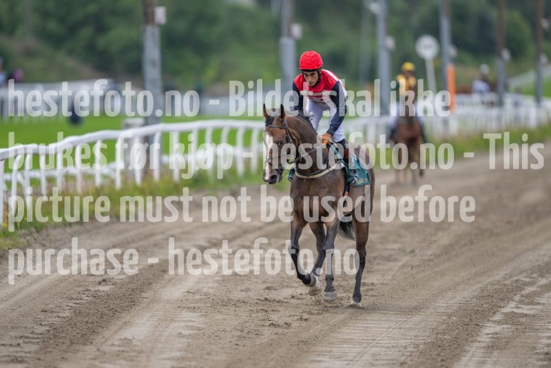 20240815-190144-DSC_5230