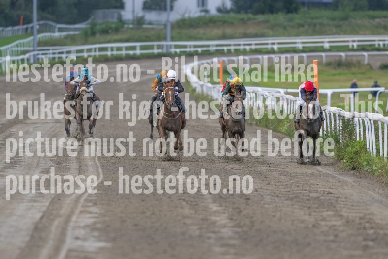 20240815-191005-DSC_5885