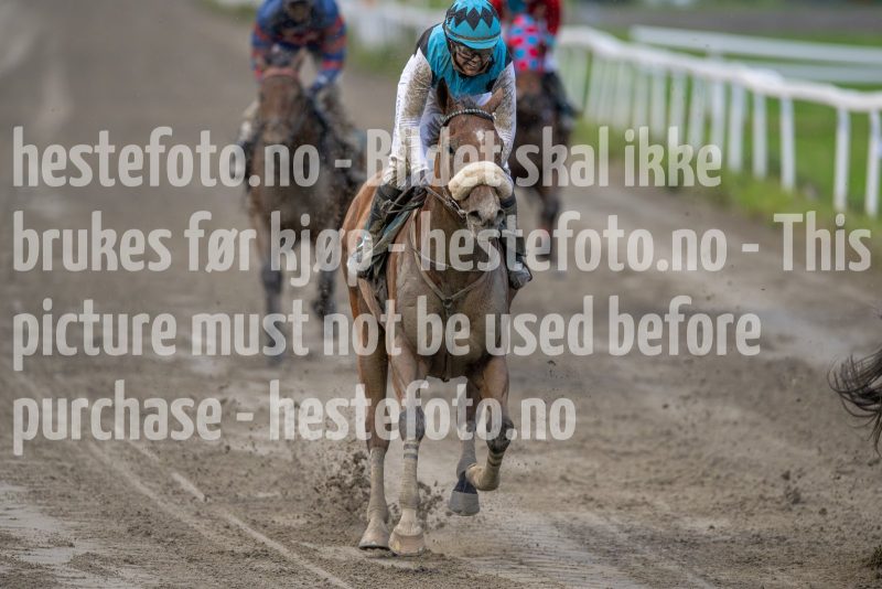 20240815-191016-DSC_6078