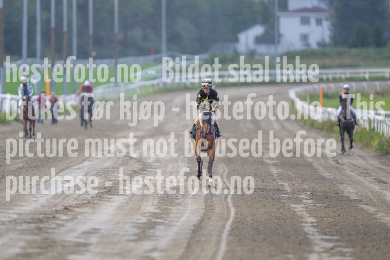 20240815-192723-DSC_6264