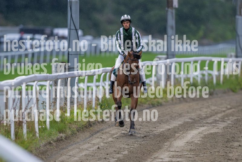 20240815-192742-DSC_6425