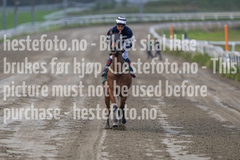 20240815-192754-DSC_6524