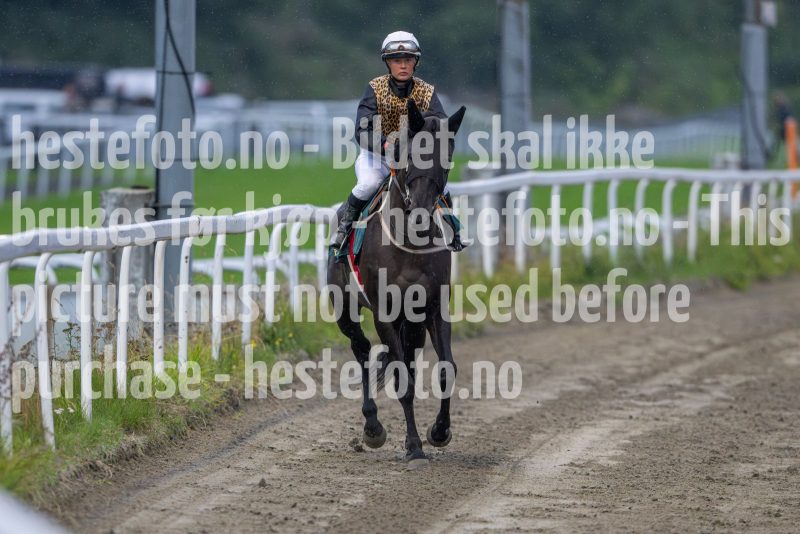 20240815-192751-DSC_6509