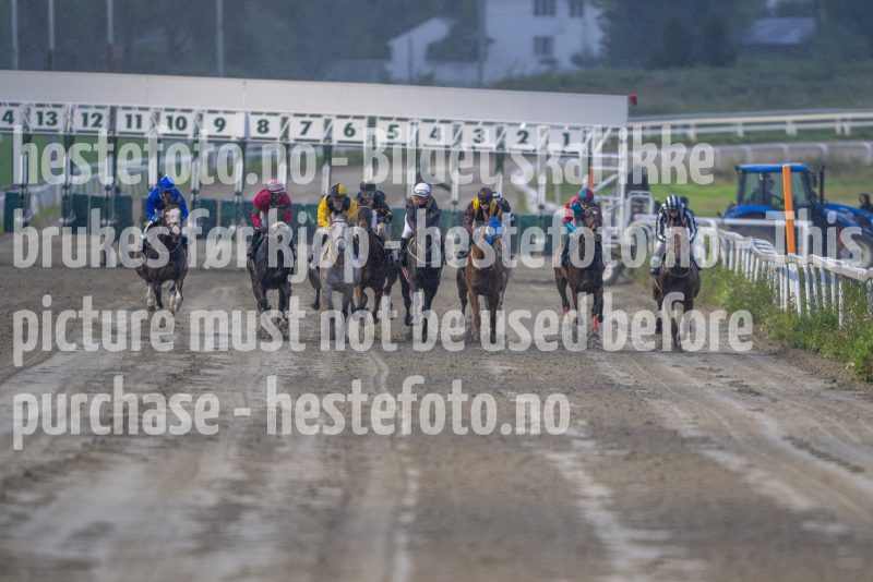 20240815-193702-DSC_6717