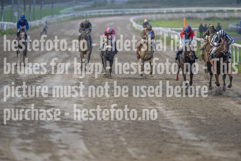 20240815-193837-DSC_6999