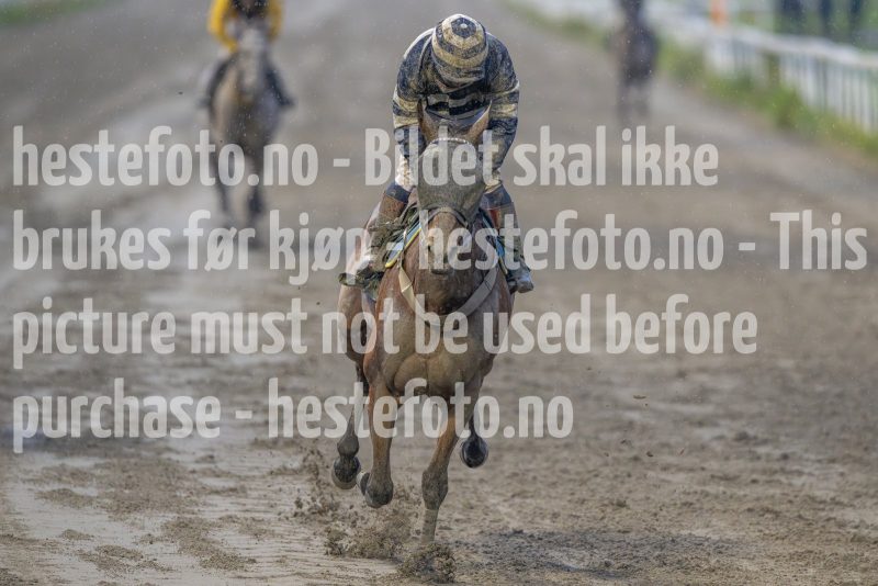 20240815-193842-DSC_7088