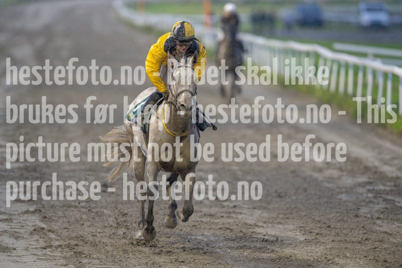 20240815-193846-DSC_7142