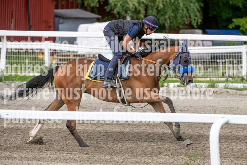 20240817-122337-DSC_0788