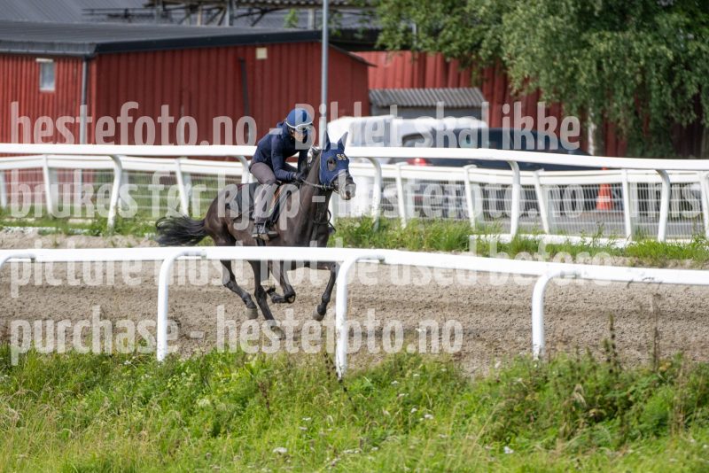 20240817-113442-DSC_9151