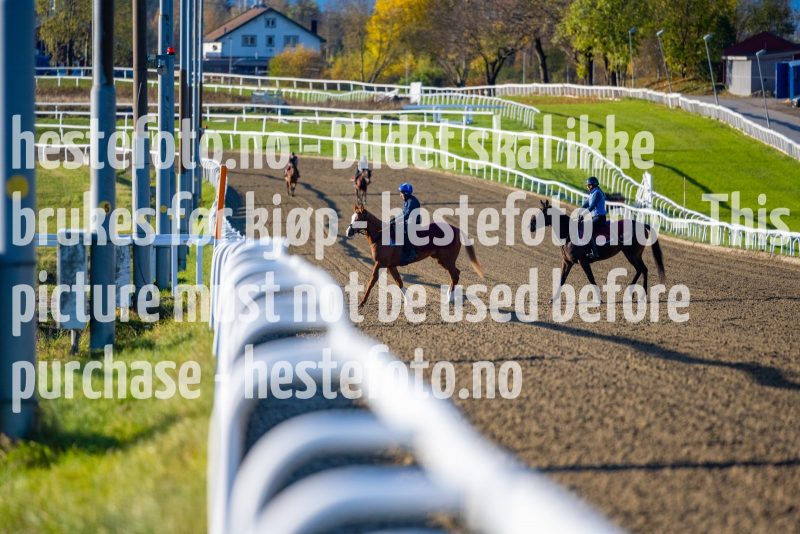 20211023-103520-DSC3959