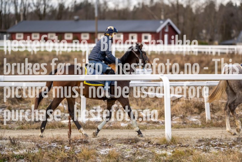 20211127-130325-DSC8627