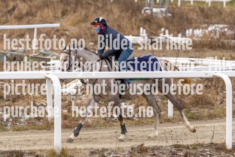 20211127-131221-DSC8693
