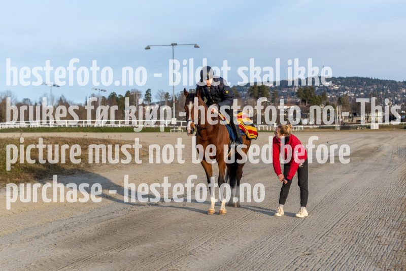 20211128-122854-DSC8708