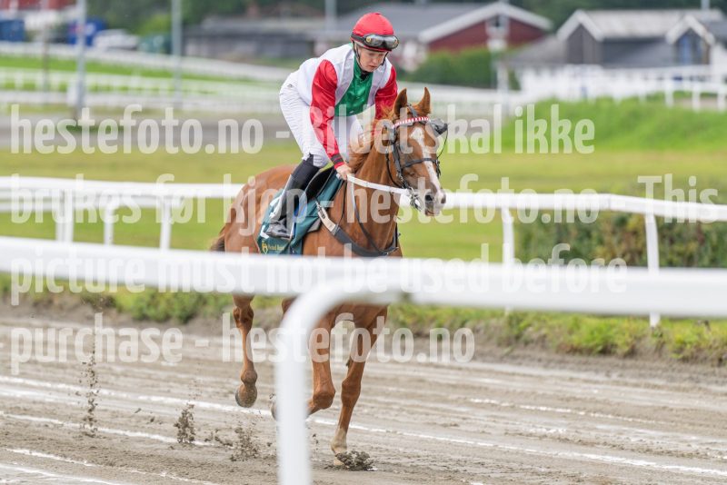 20240821-142233-DSC_3382