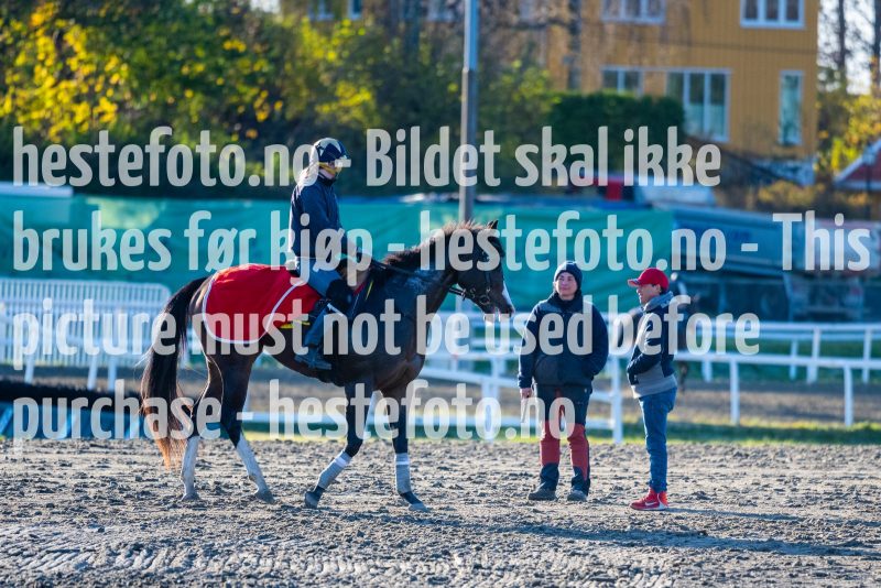 20211023-104102-DSC4031