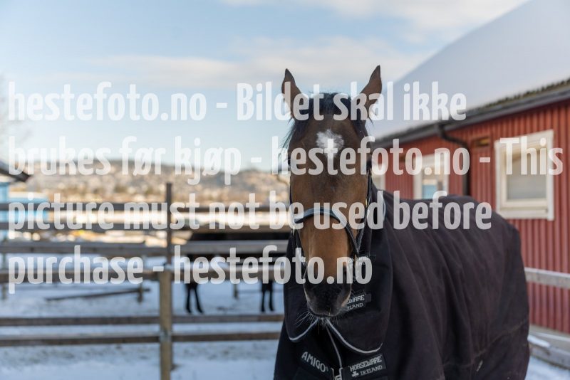 20220205-122407-DSC1062