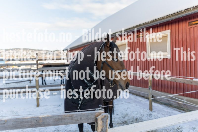 20220205-122402-DSC1059