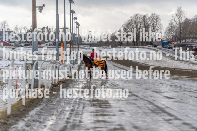 20220213-130127-DSC1996
