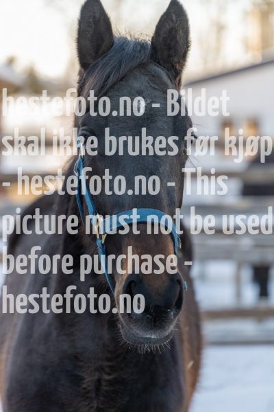 20220205-122800-DSC1111