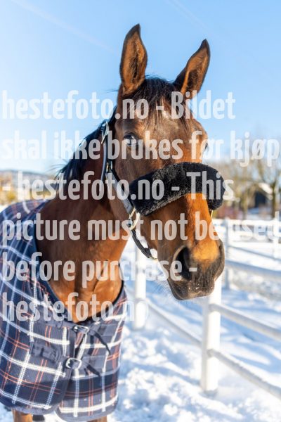 20220205-123416-DSC1180