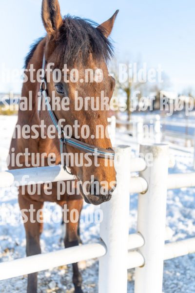 20220205-123726-DSC1231