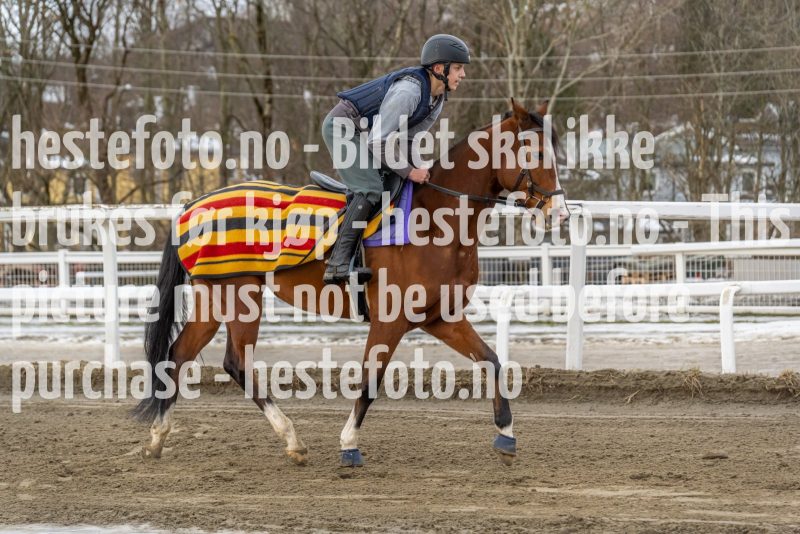 20220213-130831-DSC2068