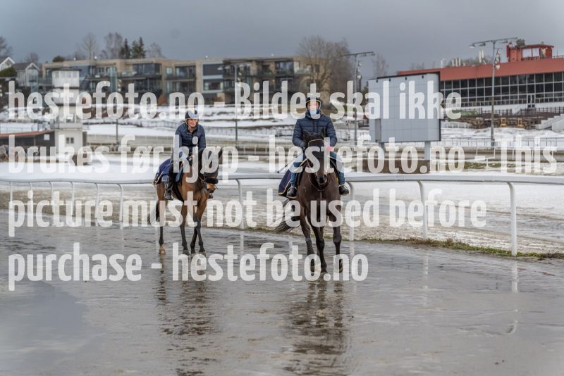 20220213-131024-DSC2107