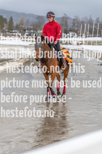 20220213-131224-DSC2168