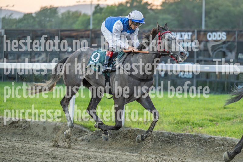 20240905-193847-DSC_4082