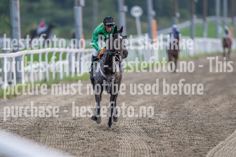 20240905-195217-DSC_4275