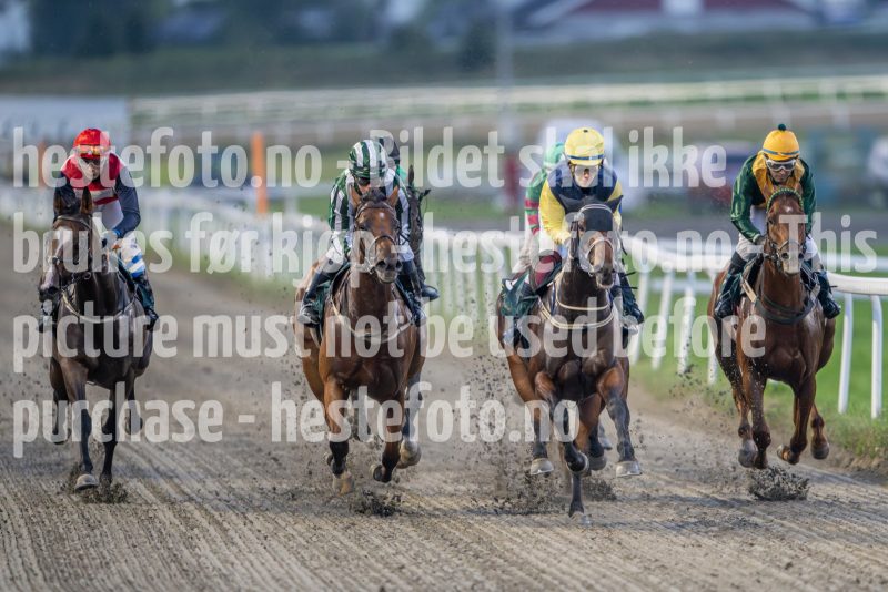 20240905-195953-DSC_4790