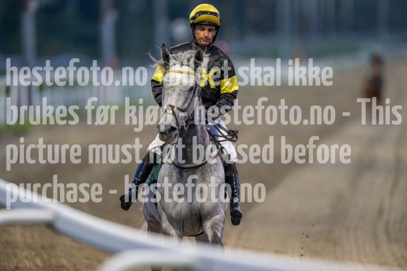 20240905-201725-DSC_5094