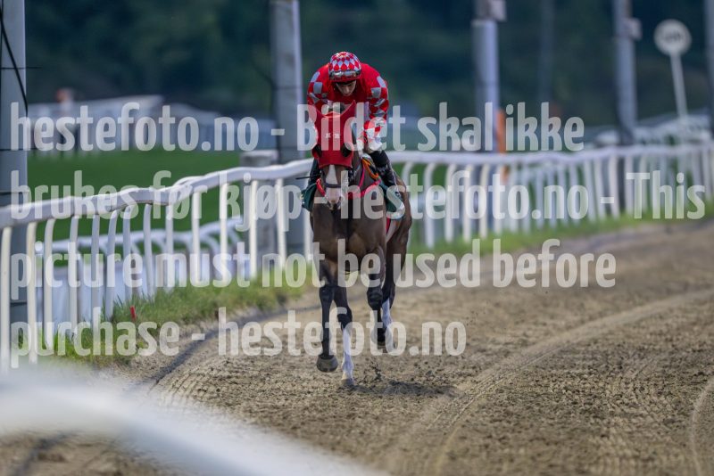 20240905-201737-DSC_5161