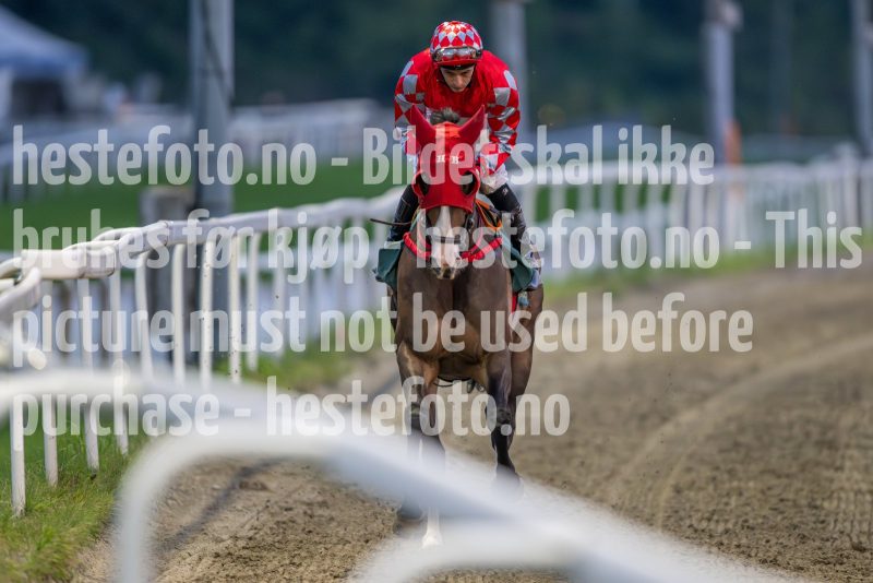 20240905-201740-DSC_5174