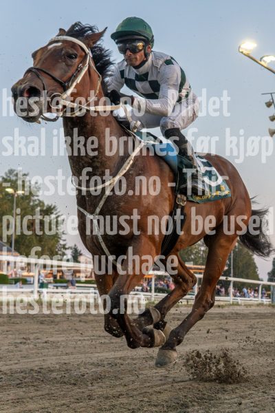 20240905-193420-YNE00324