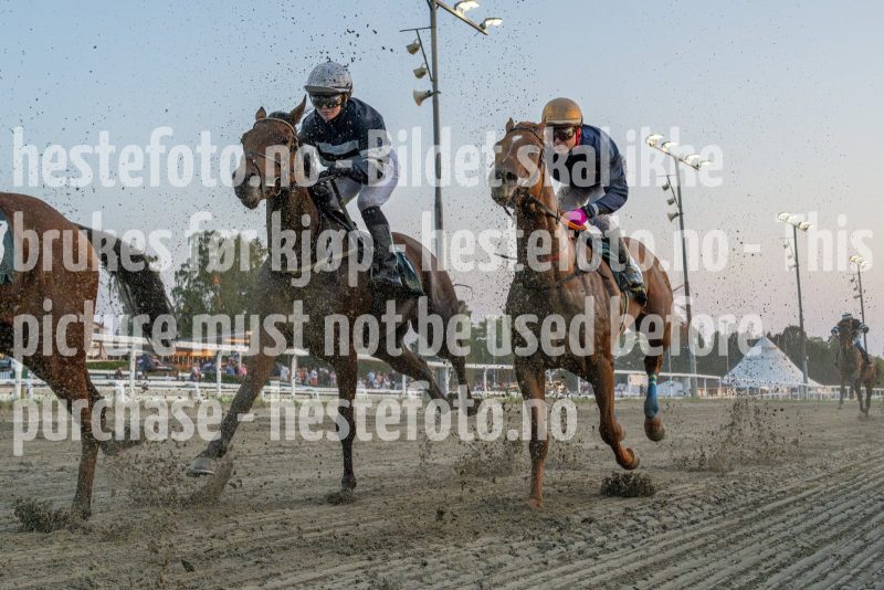 20240905-193725-DSC0180