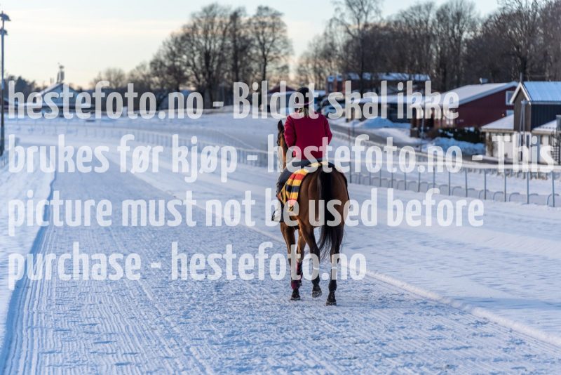20220206-131522-DSC1510
