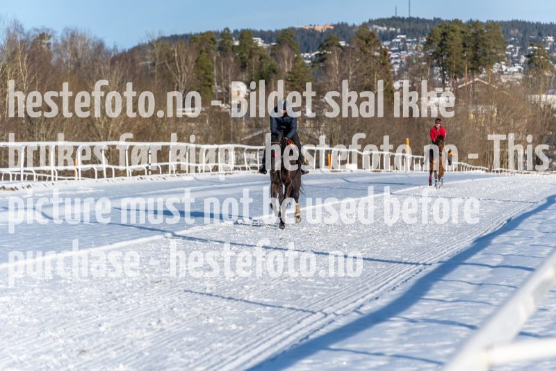 20220206-132519-DSC1564