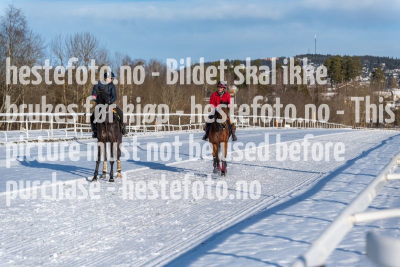20220206-132527-DSC1575